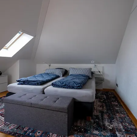 Apartament Mit Einer Sauna Direkt Am Park Wiesbaden